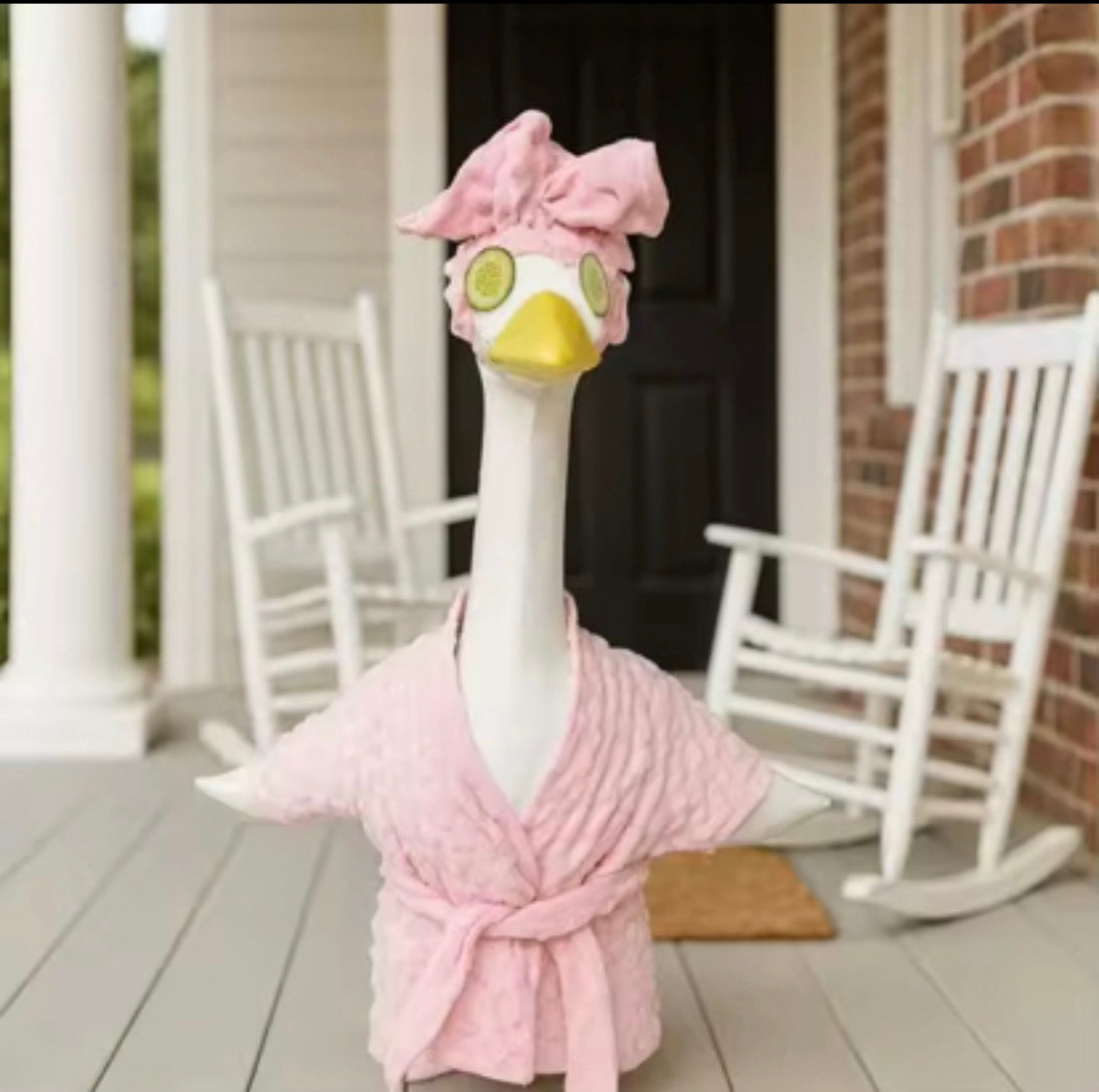 Porch Goose Outfits - shipping estimate 6/16