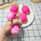 Dragon Fruit