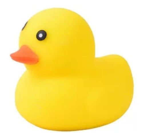 Jumbo Duck