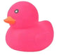Jumbo Duck