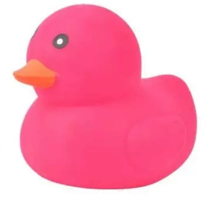 Jumbo Duck