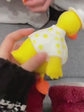 Pirate Duck - random colors